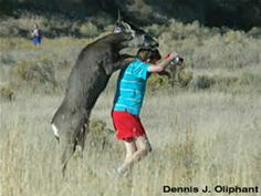 576dae0897634ad7a3b608f860795275--really-funny-so-funny