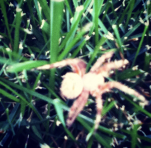 65B6A2CD-C93F-4707-A268-B5D85EFF9DB5