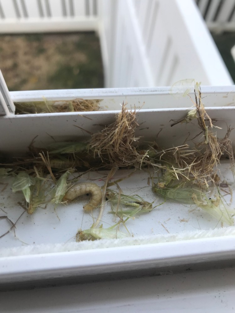 F8A23A8E-AA10-4790-8570-F4E4021DE4B5