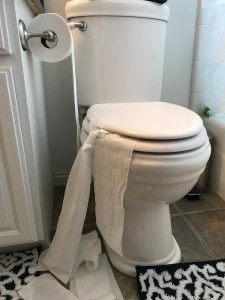 02EED3D8-7457-441C-9EEC-1742157CFDB6