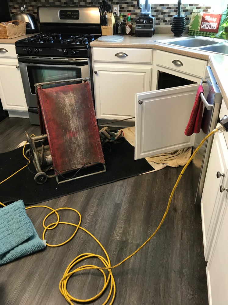 347FE4FA-C6C0-4EBF-8A97-B4529D3E4BAE